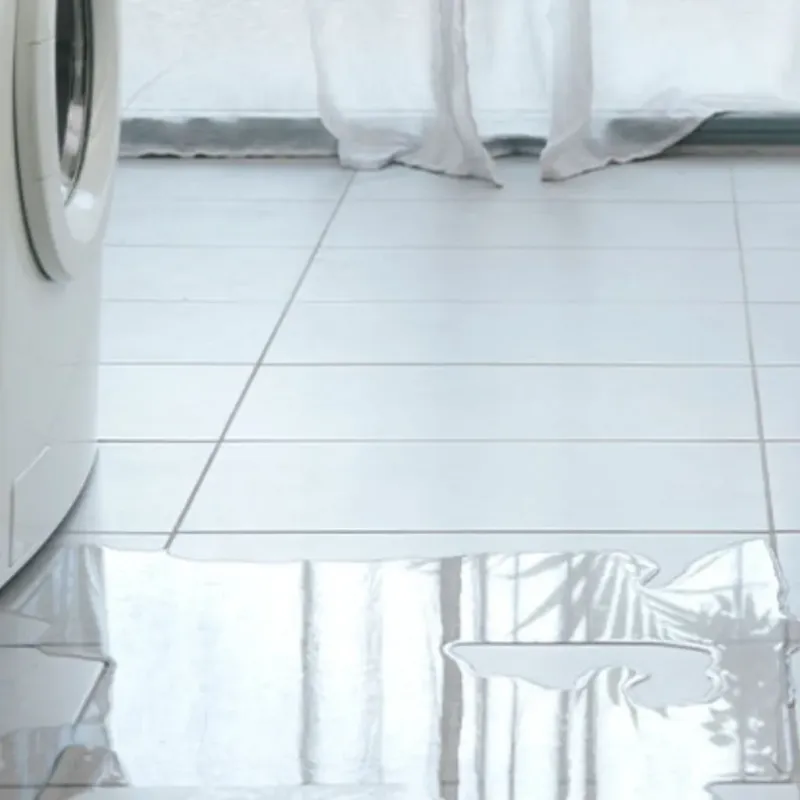Appliance Leak Cleanup in Centreville, MI