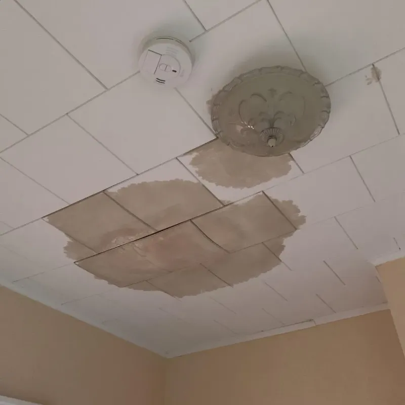 Ceiling Water Damage Repair in Centreville, MI