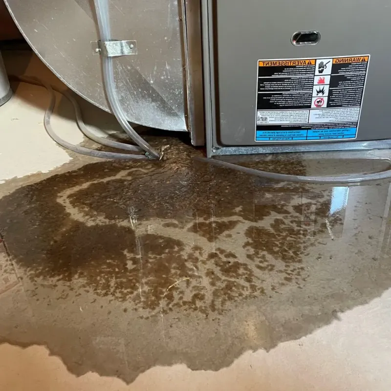 Pipe Burst and Leak Restoration in Centreville, MI