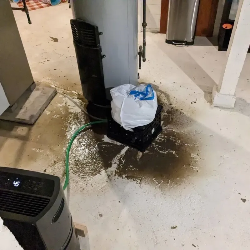 Sewage Backup Cleanup Service in Centreville, MI